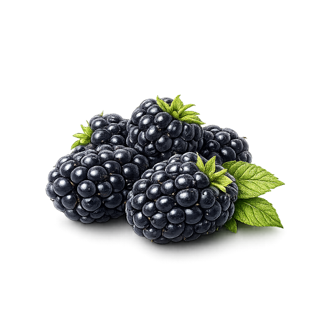 Blackberries nutrition facts and calories per 100g