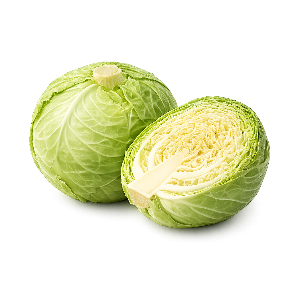 Cabbage nutrition facts and calories per 100g