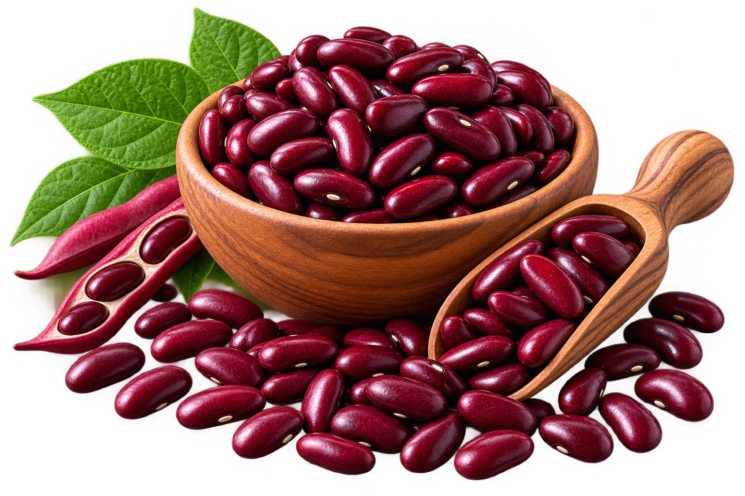 Kidney Beans nutrition facts per 100g